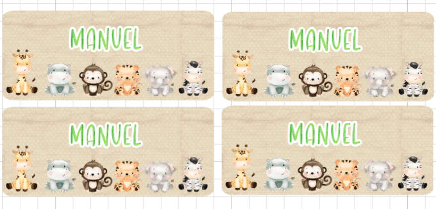Kit Party Savana - Ourlife-shop